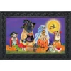 Briarwood Lane Trick Or Treat Dogs Halloween Doormat Cats Jack O'Lantern Indoor Outdoor 30" X 18" -Home Decor Store GUEST 21de40cd a3cc 4d79 92d0 446cc9808917
