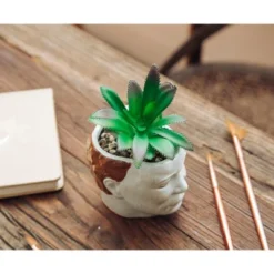 Silver Buffalo Halloween Michael Myers 3-Inch Ceramic Mini Planter With Artificial Succulent -Home Decor Store GUEST 450ec386 2f37 4814 8bfe fe1ac1a5ab49