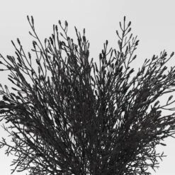 Home Decor Store -Home Decor Store GUEST 5834dd4b e292 4e7e 86c6 4be244afb3d9