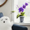 Ghoulish Garden Wild Gorechid Halloween Artificial Plant - Hyde & EEK! Boutique™ -Home Decor Store GUEST 64e4884b 702f 468f be41 0e1d776c903e